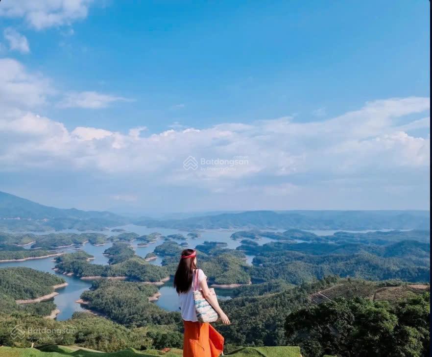 Bán 12.000m² đất nhìn thung lũng tà đùng  mặt tiền 47,5m  đường bê tông