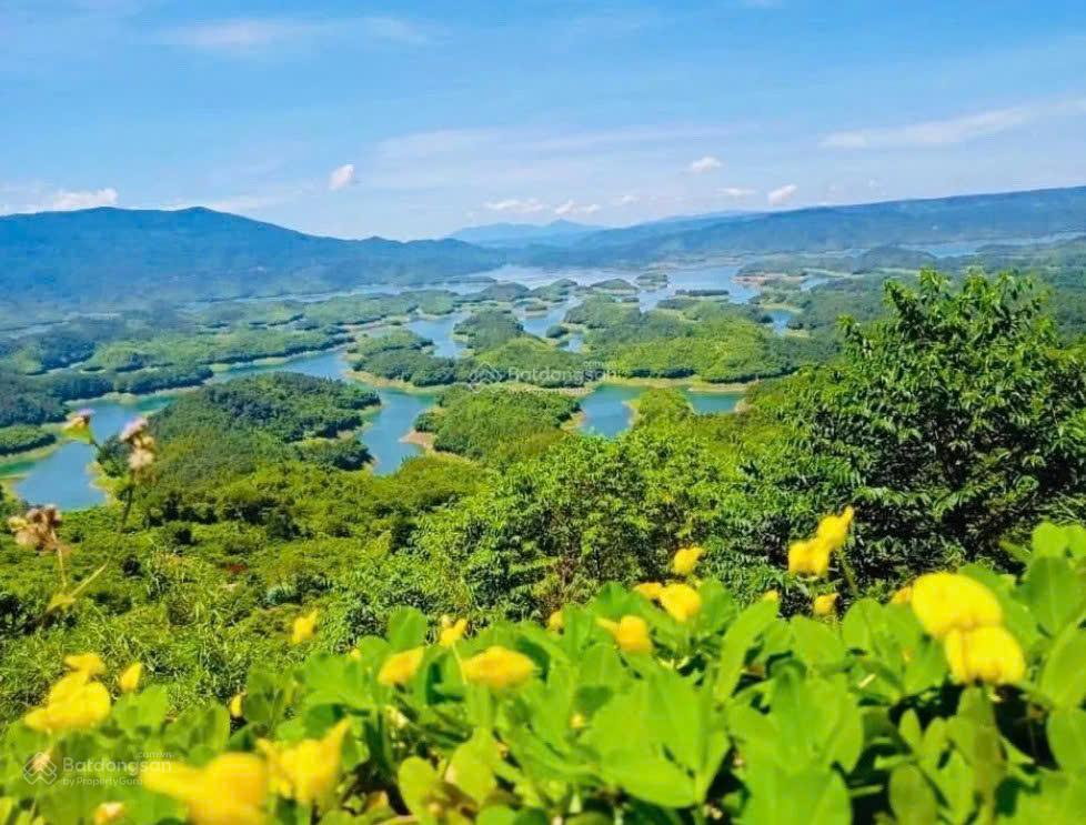 Bán 12.000m² đất nhìn thung lũng tà đùng  mặt tiền 47,5m  đường bê tông