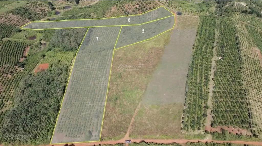 Bán 12.000m² đất nhìn thung lũng tà đùng  mặt tiền 47,5m  đường bê tông