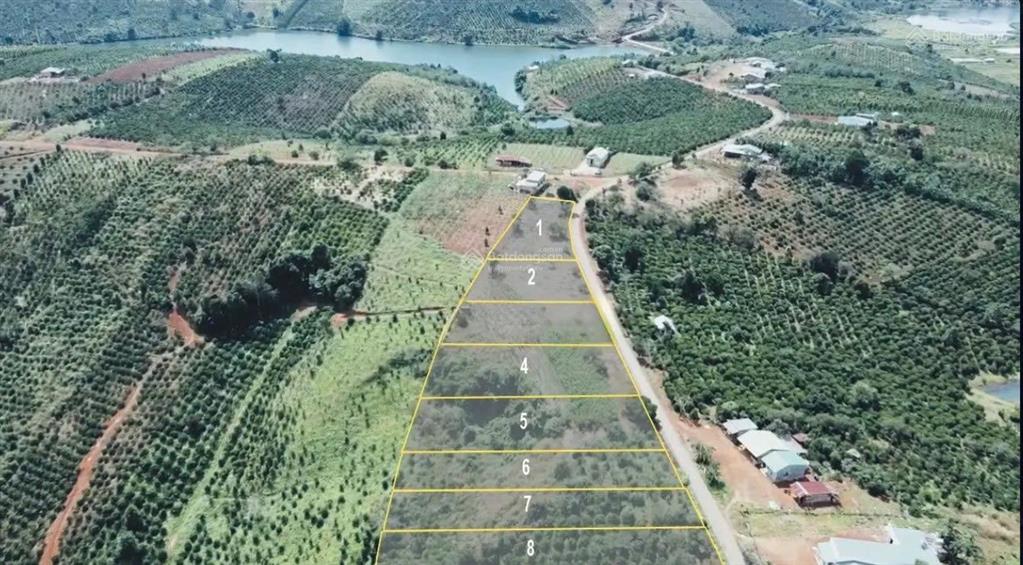 Đất kinh doanh cửa ngõ tà đùng  1.109,2m²  200m² đất ở  mặt tiền 29m