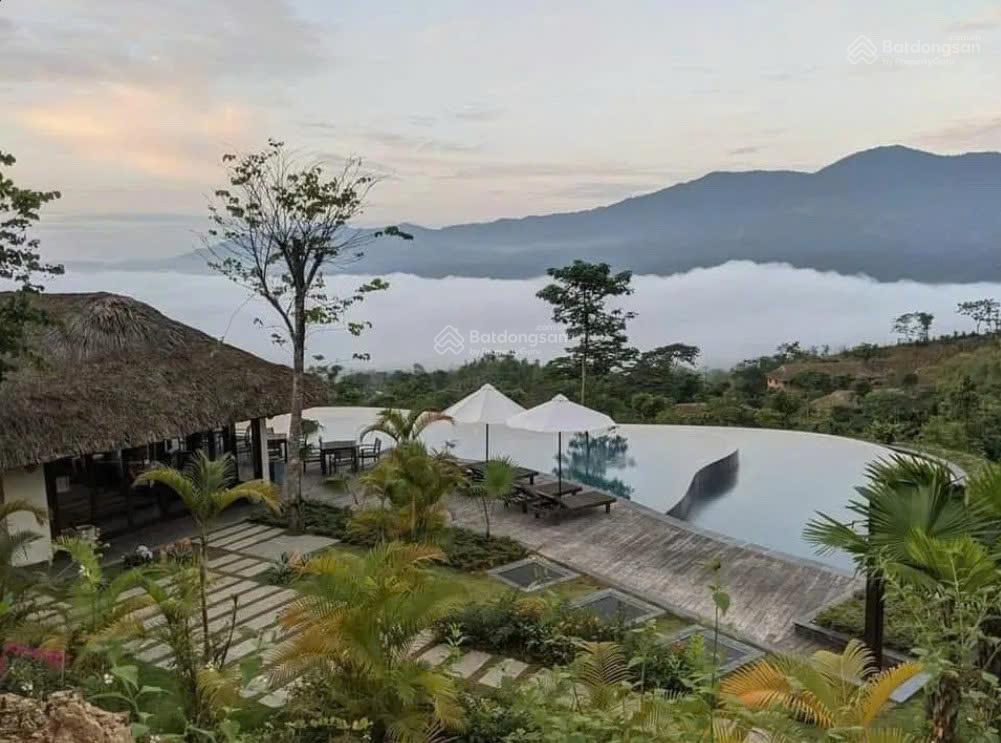 Đất 1.123m² tà đùng  mặt tiền 20m  xây cao có thể nhìn hồ