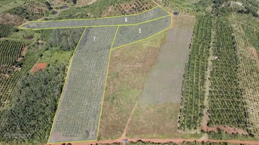 Bán đất view thung lũng tà đùng  3.638m²  mặt tiền 40m giá 1.928 tỷ