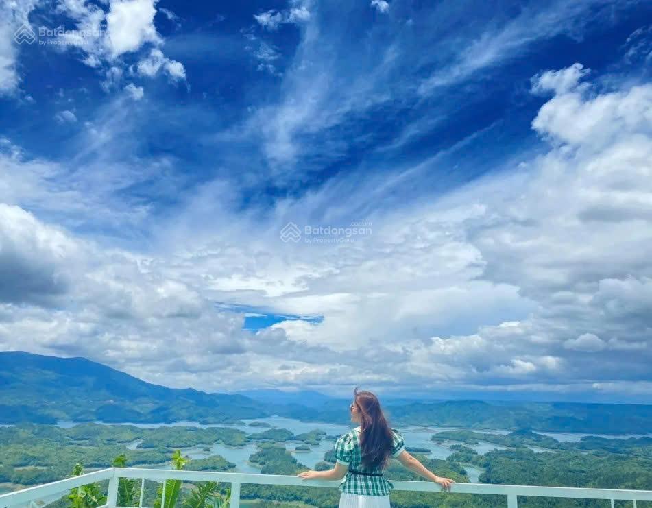 Khu đất làm farmstay nhìn thung lũng tà đùng 11.583m²  mặt tiền 82,5m