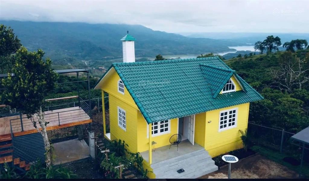Khu đất làm farmstay nhìn thung lũng tà đùng 11.583m²  mặt tiền 82,5m