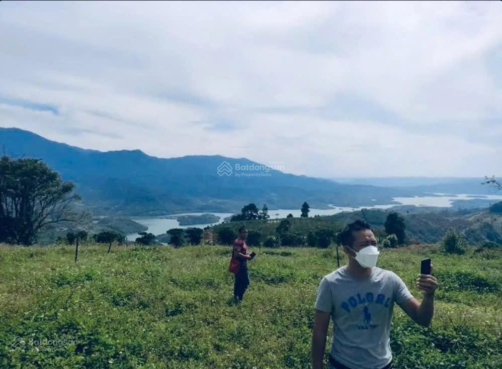 Khu đất làm farmstay nhìn thung lũng tà đùng 11.583m²  mặt tiền 82,5m