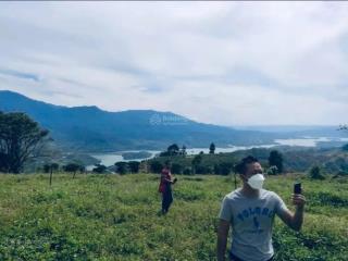 Khu đất làm farmstay nhìn thung lũng tà đùng 11.583m²  mặt tiền 82,5m