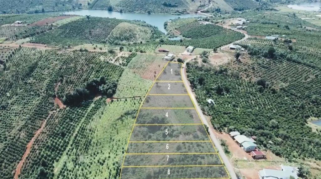 Khu đất cửa ngõ tà đùng  hơn 6.478m²  trong đó có 1.100m² đất ở  7 sổ riêng  giá 21.205 tỷ