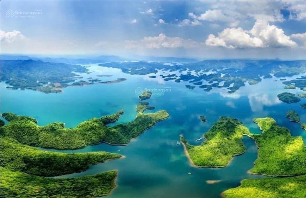 Khu đất cửa ngõ tà đùng  hơn 6.478m²  trong đó có 1.100m² đất ở  7 sổ riêng  giá 21.205 tỷ