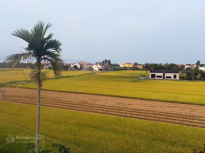 Cẩm châu  hội an. căn villa 3 tầng view lúa yên bình, thơ mộng.dòng tiền khai thác đều gần 50tr/th