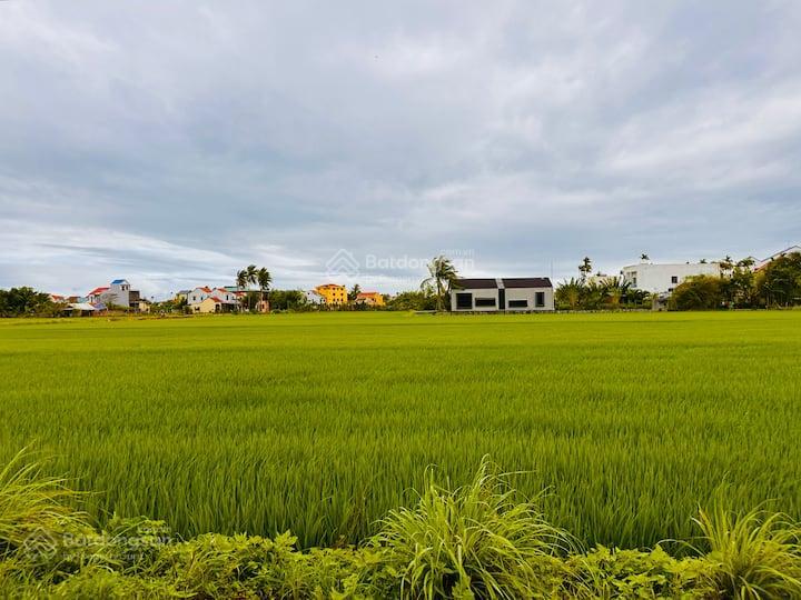 Hội an, lô đất 206m² view lúa hiếm hoi  sát trung tâm phố cổ. tiện xây villa
