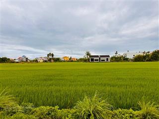 Hội an, lô đất 206m² view lúa hiếm hoi  sát trung tâm phố cổ. tiện xây villa