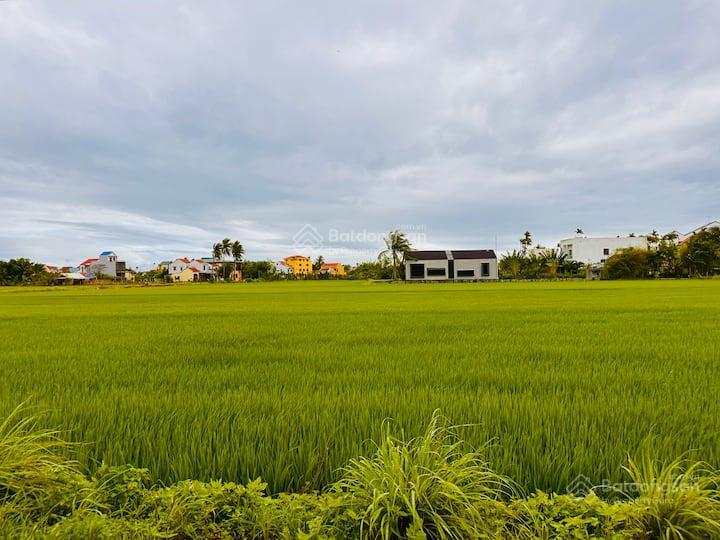 Hạ giá bán  villa 3 tầng view lúa ngay cẩm châu hội an. chỉ 7.x tỷ, khai thác tốt