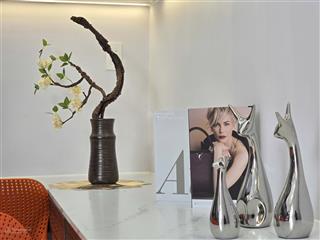 Villa 2 mặt tiền trung tâm hiếm hàng khu 400/7 điện biên phủ