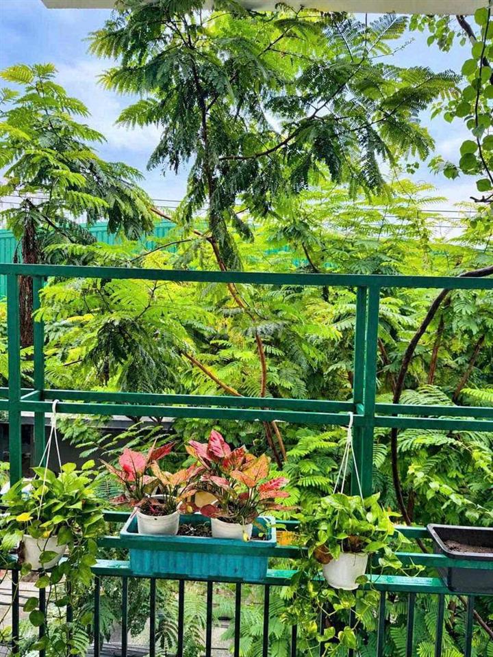 CĂN HỘ 1 PHÒNG NGỦ 41M² – PHÒNG BẾP LỚN – GẦN BIỂN - AN THƯỢNG