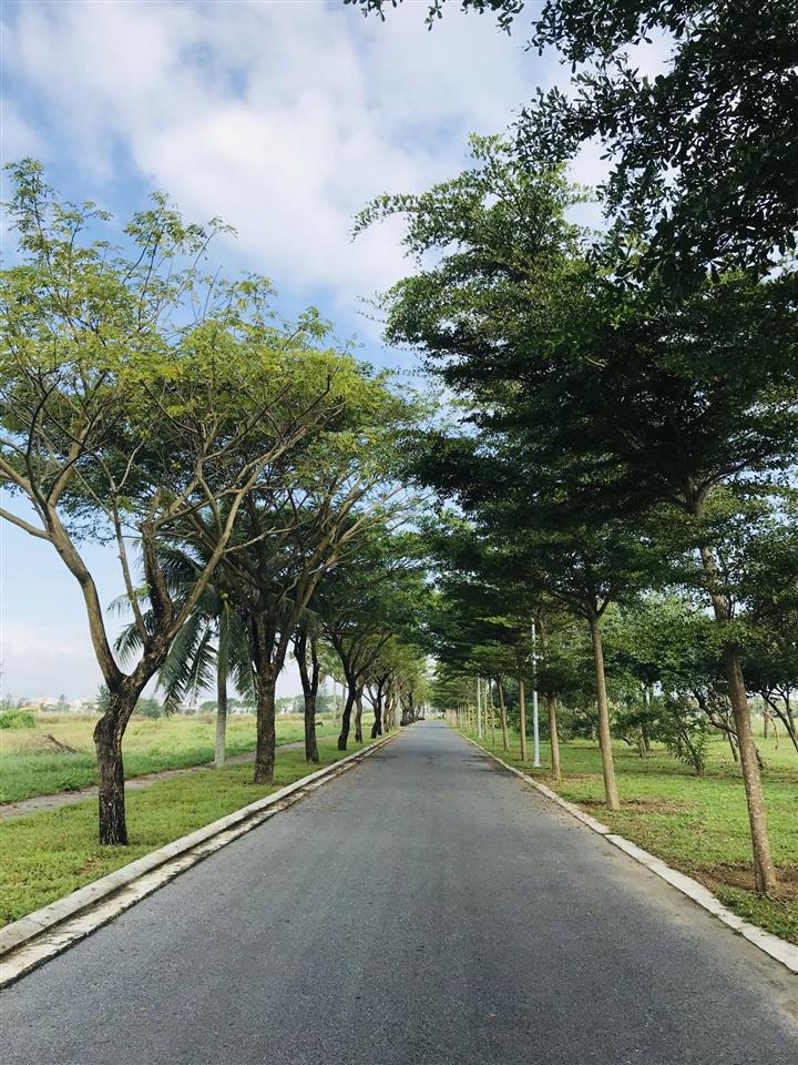 Lô hướng đông hướng biển, giá tốt khu v5