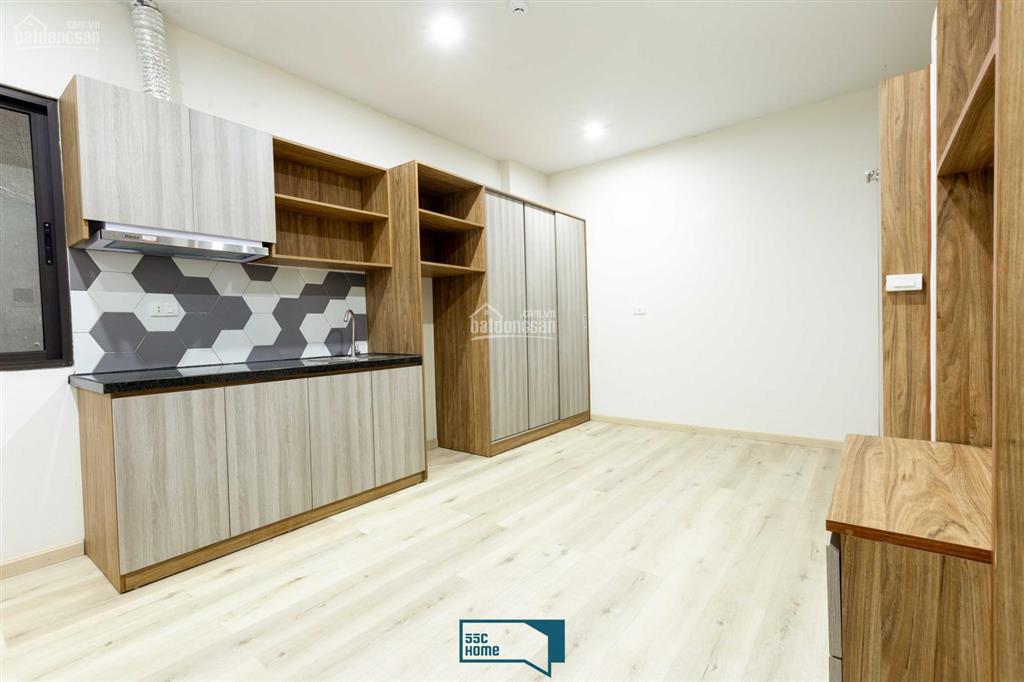 Ccmn hiện đại gần lăng bác, bách thảo, hồ tây, miễn phí dịch vụ (an ninh 24/24, vscc, phòng gym)