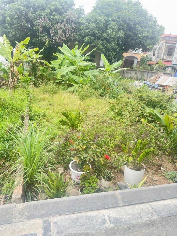Lô đất hiếm trung tâm lê xá, đông anh giá đầu tư diện tích 58,8m mặt tiền 4m .