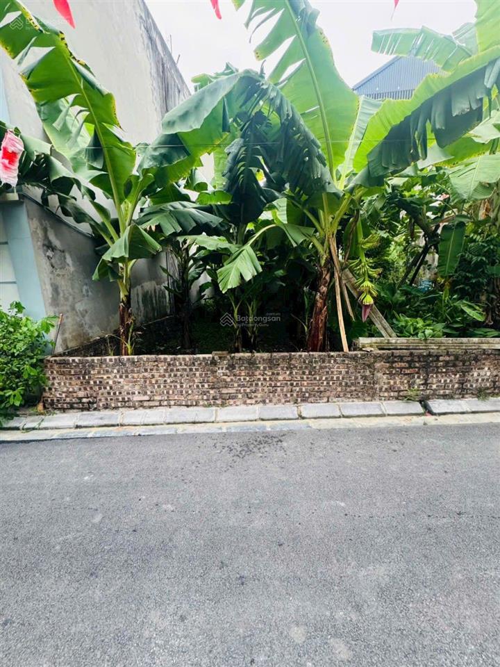 Mảnh đất đẹp tại mai lâm, đông anh. giá bán hợp lý. đường trước mặt trải nhựa. diện tích 52,2m2