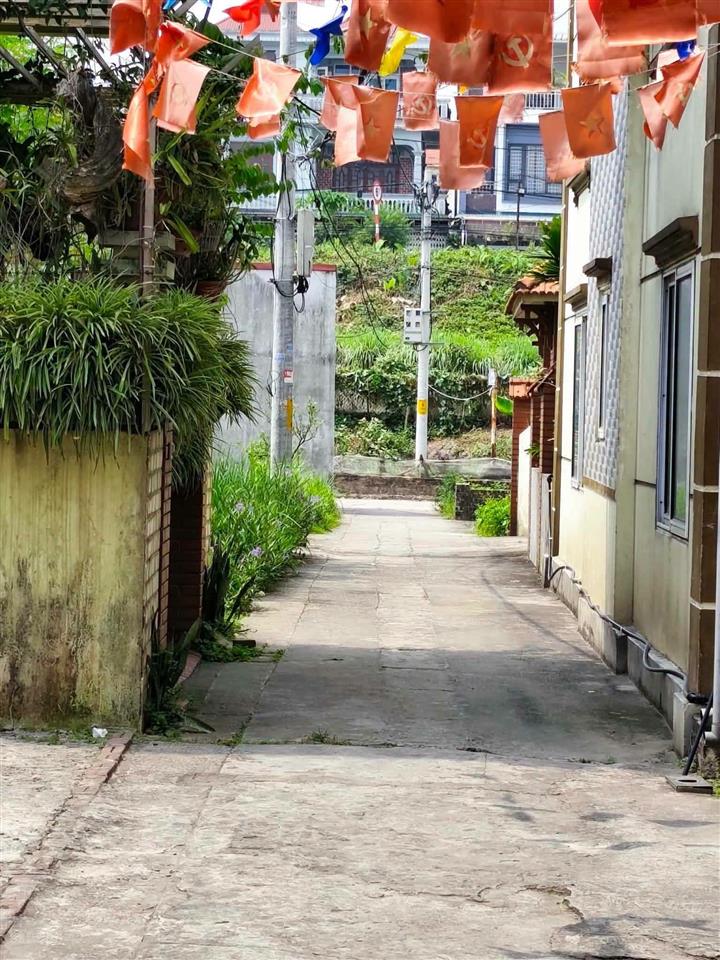 Bán đất thôn đông ngàn, cửa ngõ xã đông anh, hà nội  giá bán 4,950 tỷ. sát vinhomes cổ loa.