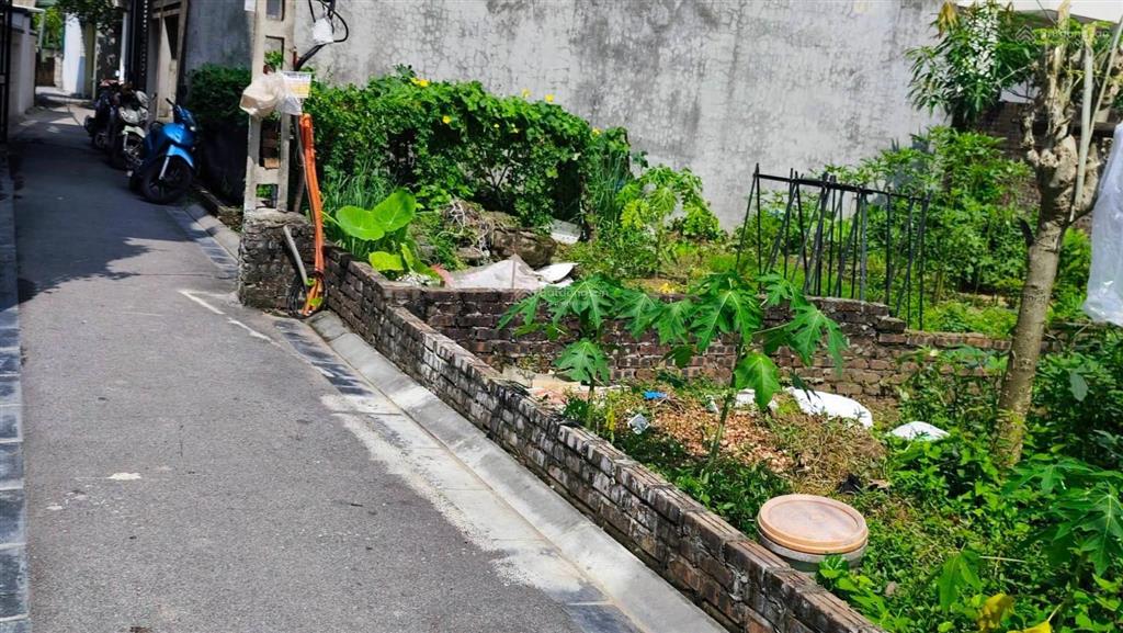 Bán đất mai lâm đông anh | giá 4,260 tỷ lô đất đẹp thông số vàng đón sóng hạ tầng