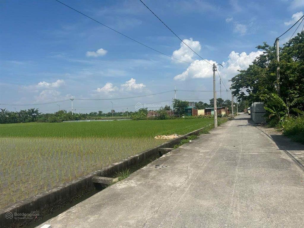 Siêu phẩm đất mặt đường quy hoạch 17m hương trầm, thư lâm, đông anh lô đất rộng đẹp.