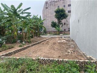 Bán đất khu đấu giá. thôn du ngoại  xã mai lâm  đông anh  hn dt 85m2 rộng 5m hướng đông bắc