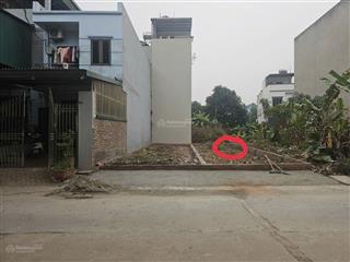 Bán đất lộc hà, mai lâm đón sóng cầu tứ liên, vị trí đẹp tại lộc hà, mai lâm, đông anh