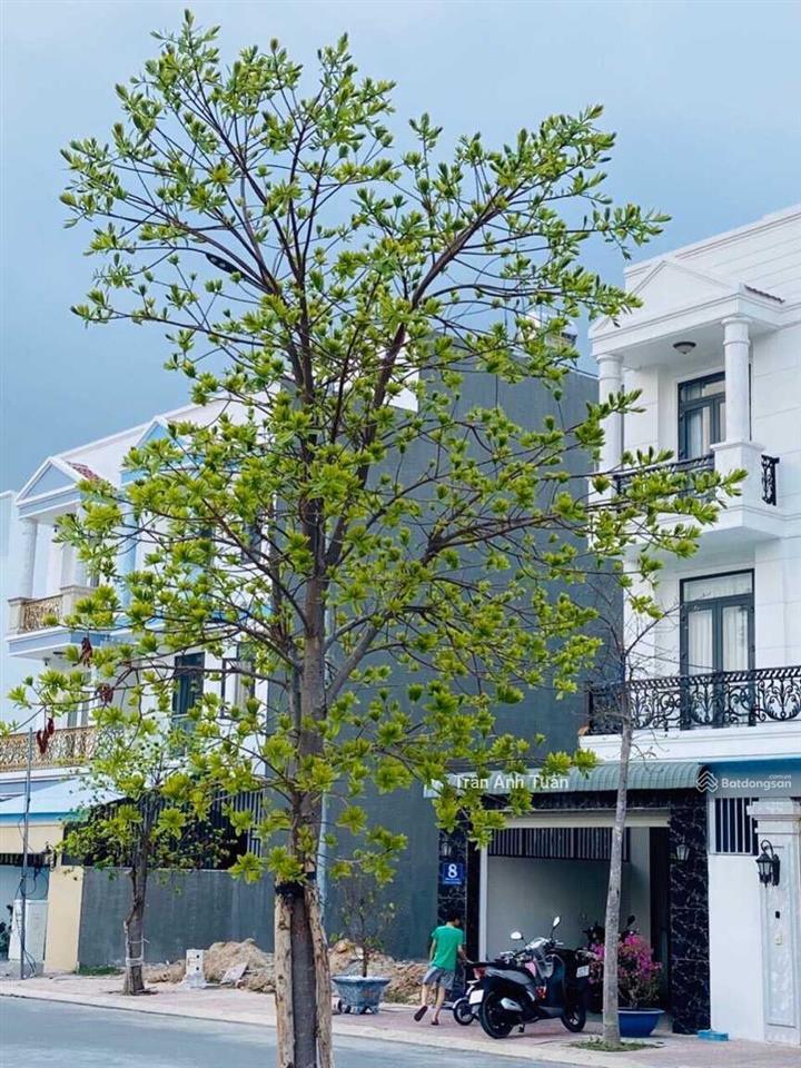 Bán đất đường d12, kdc phúc đạt, giá 4,5 tỷ phú lợi, thủ dầu một, bình dương