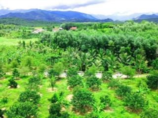 Cần bán lô biệt thự vườn full thổ giá siêu rẻ ở ven nha trang