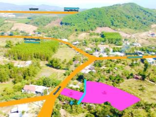 Bán nhanh lô biệt thự đường nhựa phù hợp mọi loại hình kinh doanh