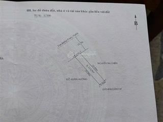 Hoa hậu mặt đường trung nghĩa đồ sơn giờ mới xuất đầu lộ diện. nằm trên mặt đường rộng 10m con đ