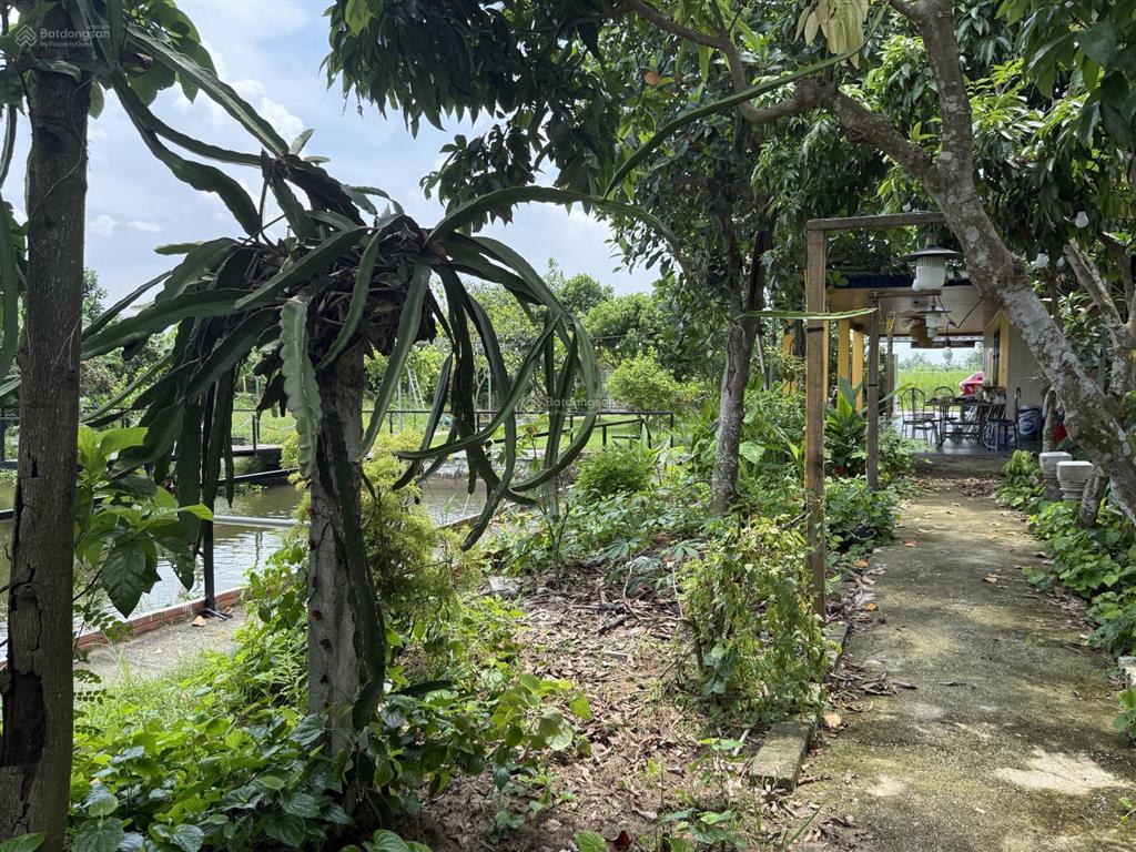 Siêu phẩm nhà vườn tại hòa nghĩa, dương kinh hải phòng giá siêu đẹp 3 tỷ xx
