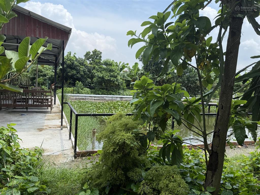 Siêu phẩm nhà vườn tại hòa nghĩa, dương kinh hải phòng giá siêu đẹp 3 tỷ xx