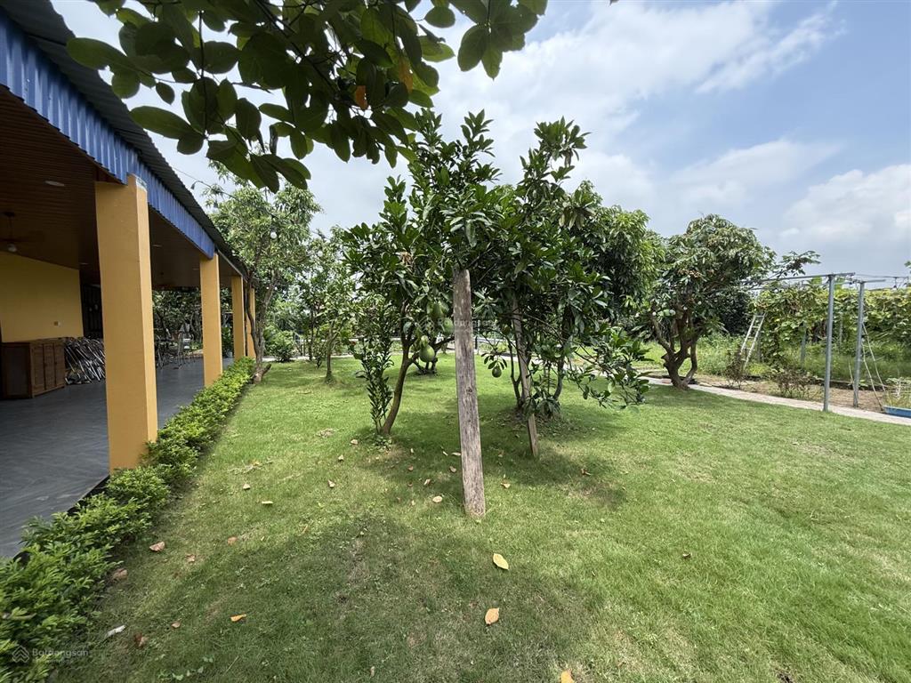 Siêu phẩm nhà vườn tại hòa nghĩa, dương kinh hải phòng giá siêu đẹp 3 tỷ xx