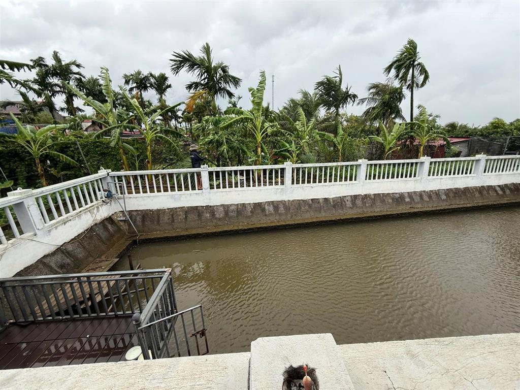 Chính chủ gửi lô đất nhà vườn 2000m2 tại sông he, hòa nghĩa, dương kinh, hải phòng.  vị trí gần s
