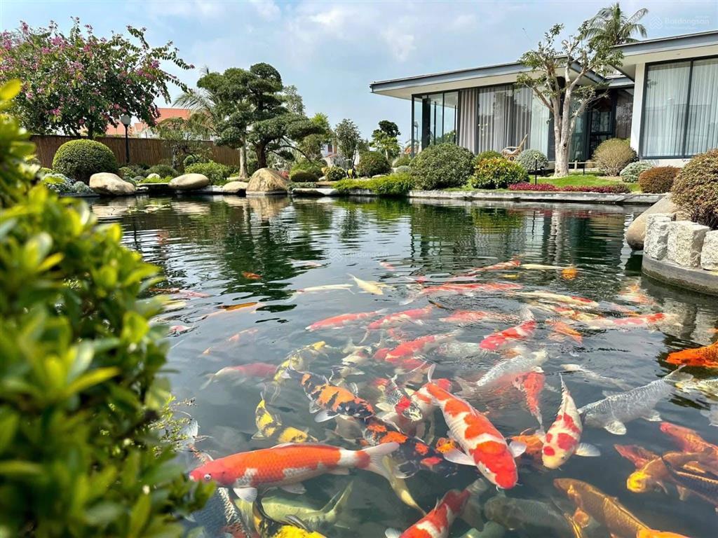 Chính chủ gửi siêu phẩm nhà vườn 6000m2 tại hoà nghĩa  dương kinh  hải phòng