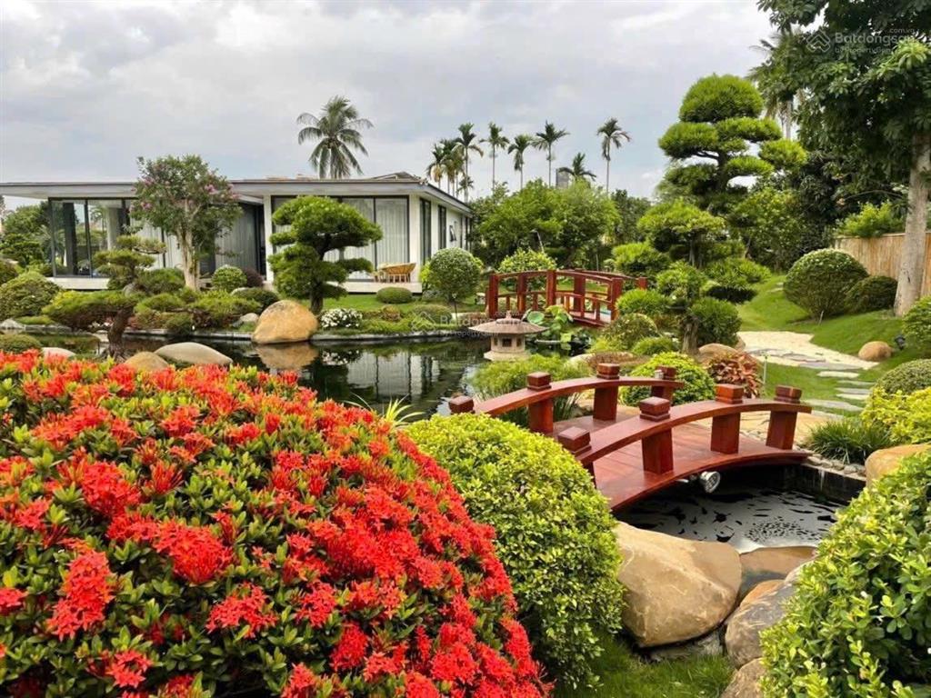 Chính chủ gửi siêu phẩm nhà vườn 6000m2 tại hoà nghĩa  dương kinh  hải phòng