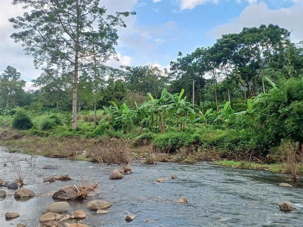 Đất cao phong, hòa bình 4000m2 bám suối lớn. cách tt hà nội chỉ 70km, giá 2.x tỷ