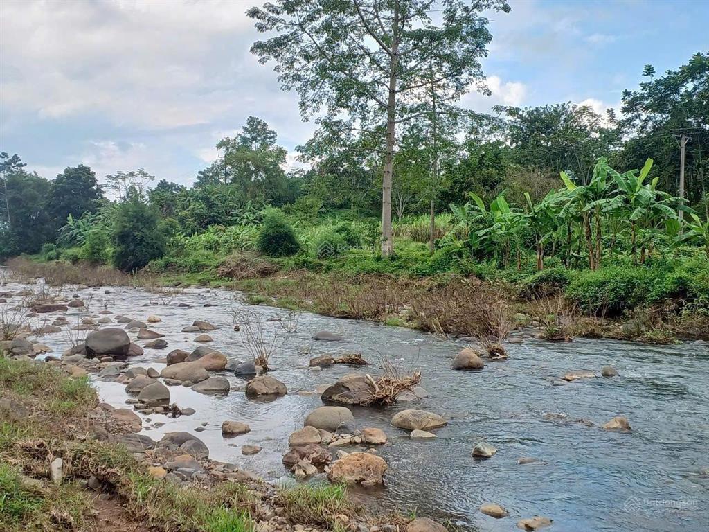 Đất cao phong, hòa bình 4000m2 bám suối lớn. cách tt hà nội chỉ 70km, giá 2.x tỷ