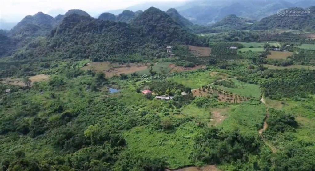 Bán 10 ha cho ac quan tâm mua làm resort, trang trại cách tt hà nội 70km, giá 39 tỷ