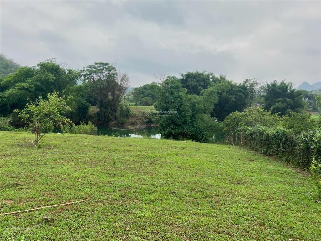 Bán 10 ha cho ac quan tâm mua làm resort, trang trại cách tt hà nội 70km, giá 39 tỷ