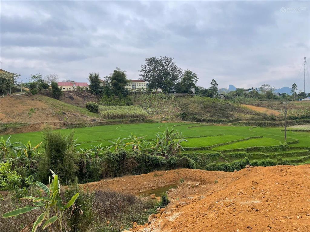 Lô đất 4600m2 rẻ nhất cao phong  hoà bình đầu tư sinh lời cao. giá chỉ 2,x tỷ