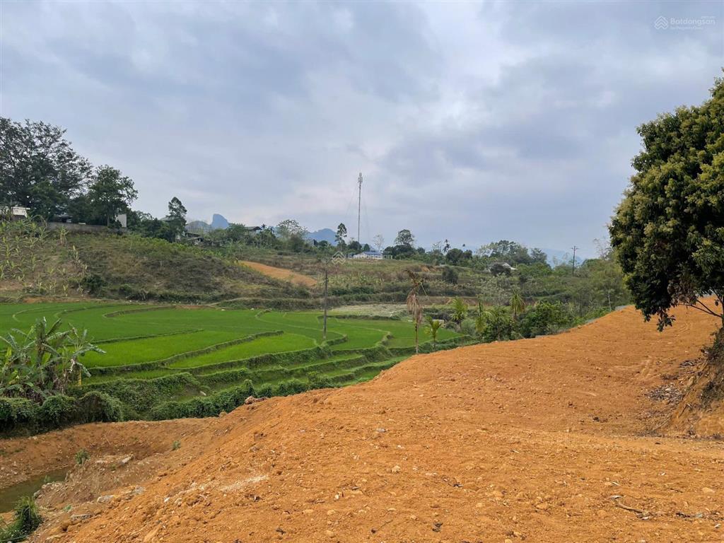 Lô đất 4600m2 rẻ nhất cao phong  hoà bình đầu tư sinh lời cao. giá chỉ 2,x tỷ