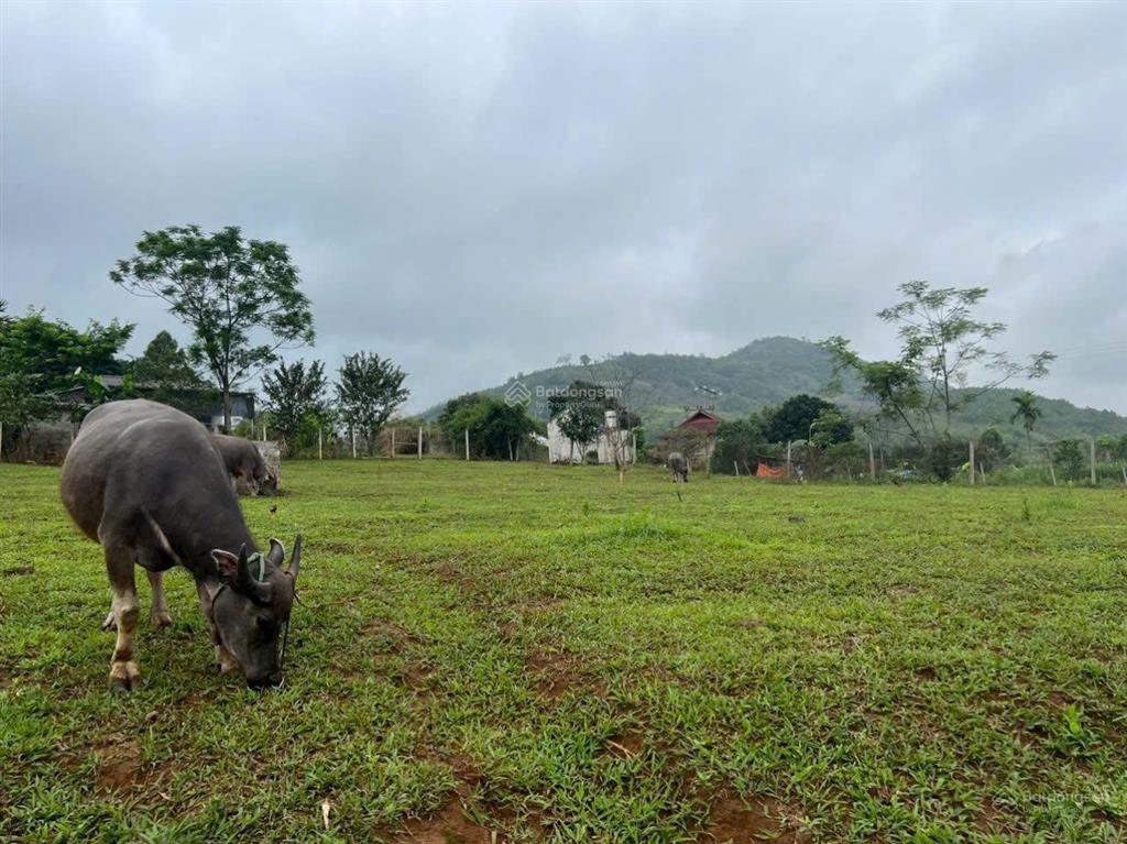 Chính chủ mở bán em hoa hậu 2450m2 tại kim bôi, hòa bình thích hợp xây nghỉ dưỡng. giá chỉ 4 tỷ