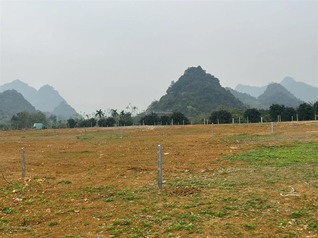 Chính chủ mở bán em hoa hậu 2450m2 tại kim bôi, hòa bình thích hợp xây nghỉ dưỡng. giá chỉ 4 tỷ