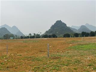 Chính chủ mở bán em hoa hậu 2450m2 tại kim bôi, hòa bình thích hợp xây nghỉ dưỡng. giá chỉ 4 tỷ