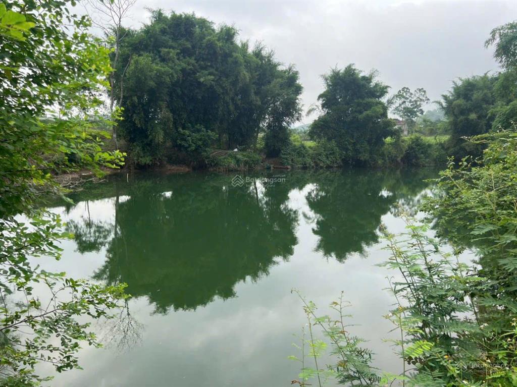 Chính chủ mở bán em hoa hậu 2450m2 tại kim bôi, hòa bình thích hợp xây nghỉ dưỡng. giá chỉ 4 tỷ