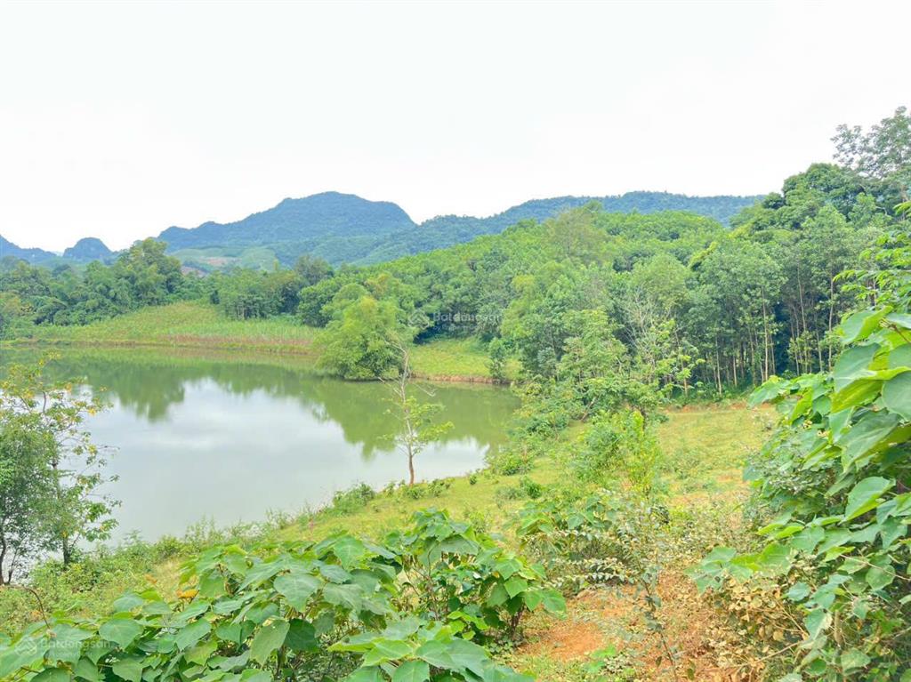 Chính chủ mở bán em hoa hậu 2450m2 tại kim bôi, hòa bình thích hợp xây nghỉ dưỡng. giá chỉ 4 tỷ