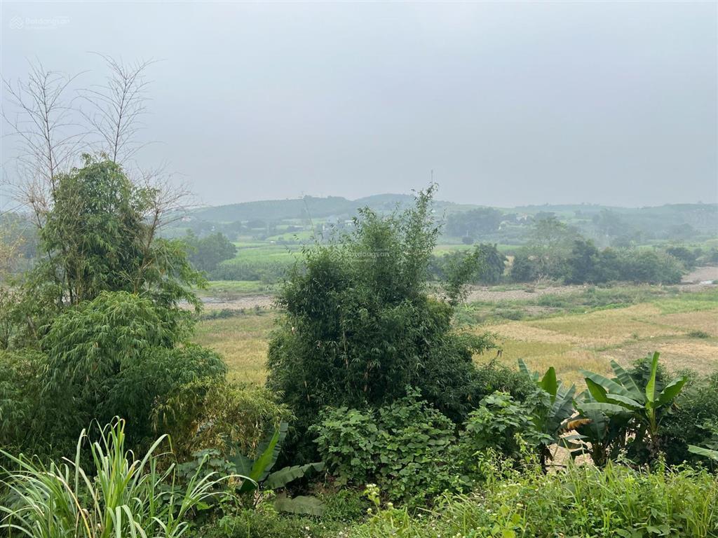 Chính chủ mở bán em hoa hậu 2450m2 tại kim bôi, hòa bình thích hợp xây nghỉ dưỡng. giá chỉ 4 tỷ