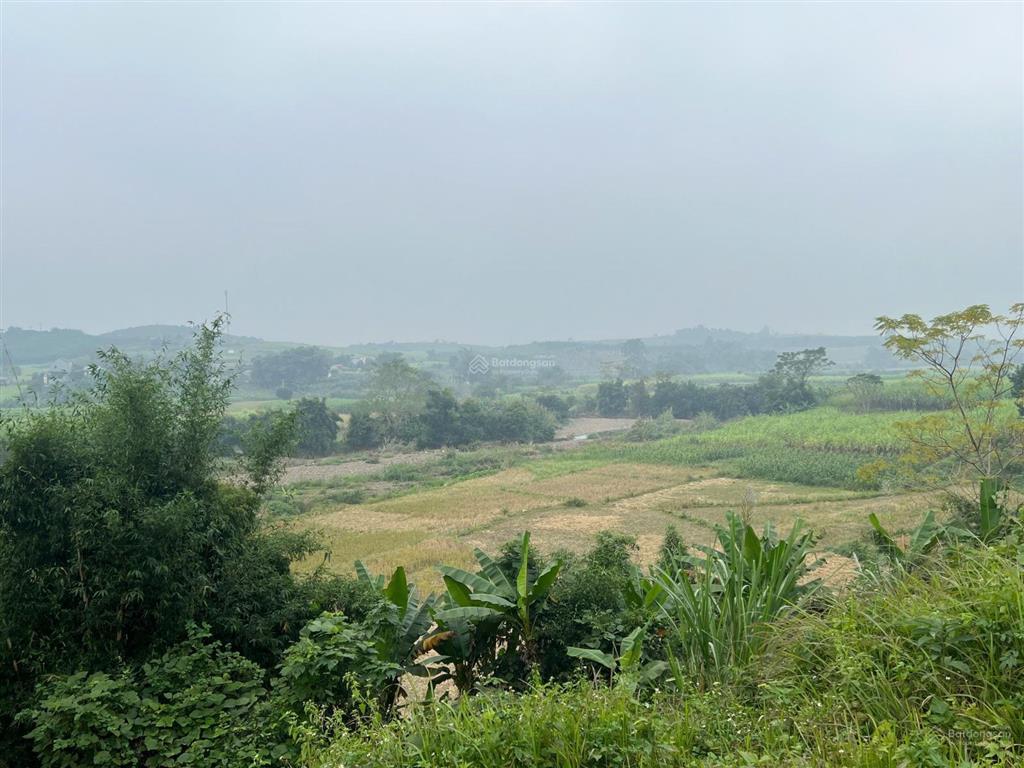 Chính chủ mở bán em hoa hậu 2450m2 tại kim bôi, hòa bình thích hợp xây nghỉ dưỡng. giá chỉ 4 tỷ
